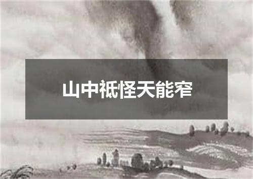 山中祗怪天能窄