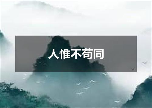 人惟不苟同