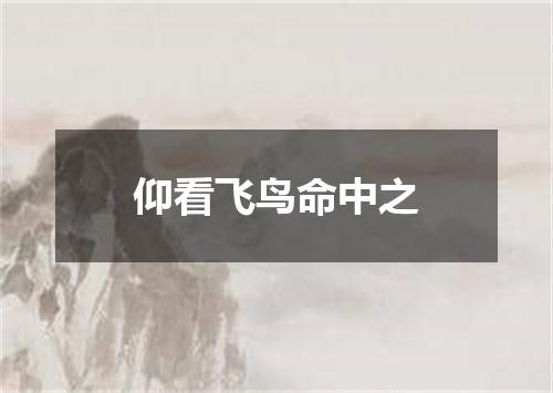 仰看飞鸟命中之