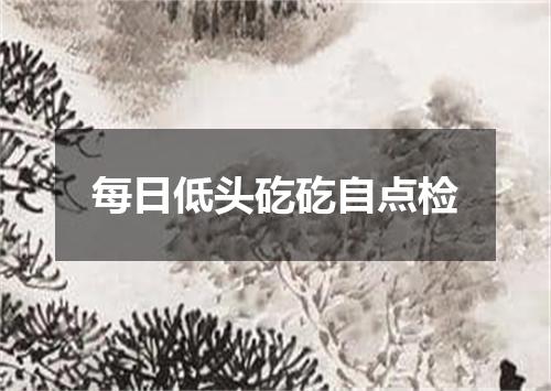 每日低头矻矻自点检