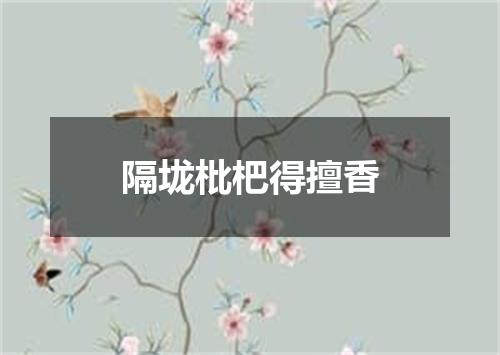 隔垅枇杷得擅香