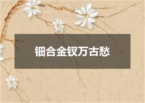 钿合金钗万古愁