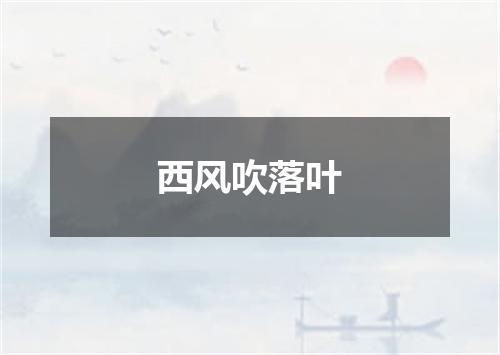 西风吹落叶