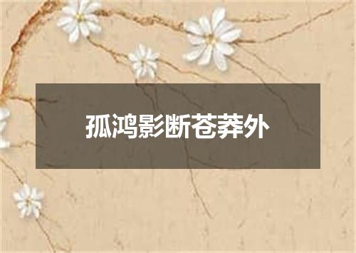 孤鸿影断苍莽外