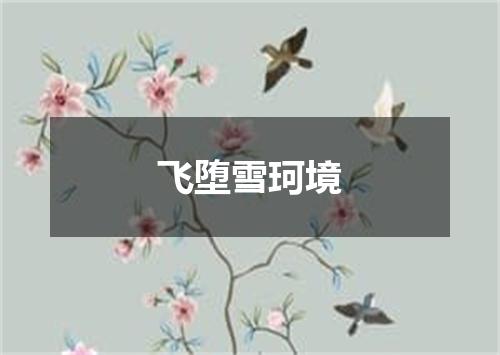 飞堕雪珂境