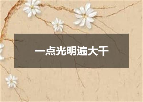 一点光明遍大千