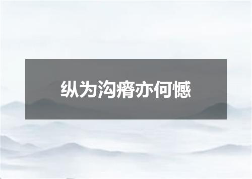 纵为沟瘠亦何憾