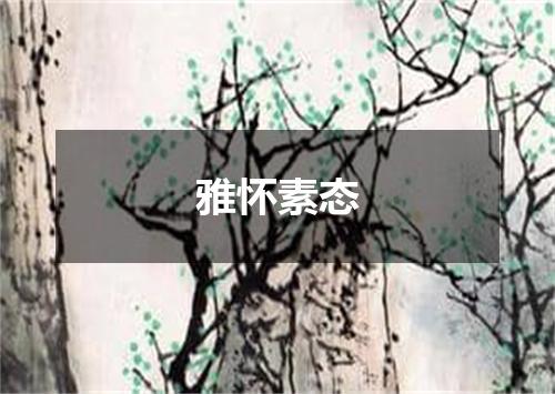 雅怀素态