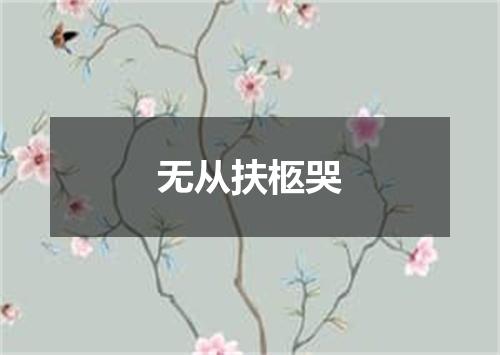 无从扶柩哭