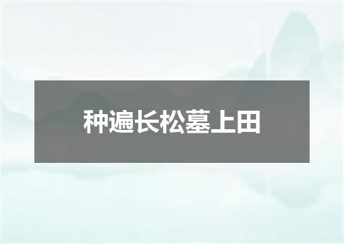 种遍长松墓上田