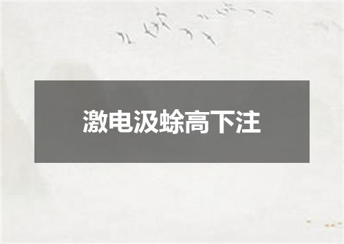 激电汲蜍高下注