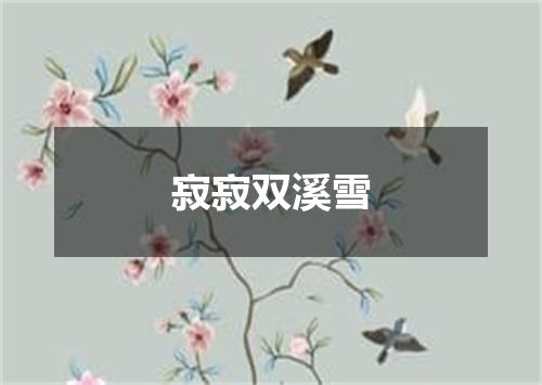 寂寂双溪雪