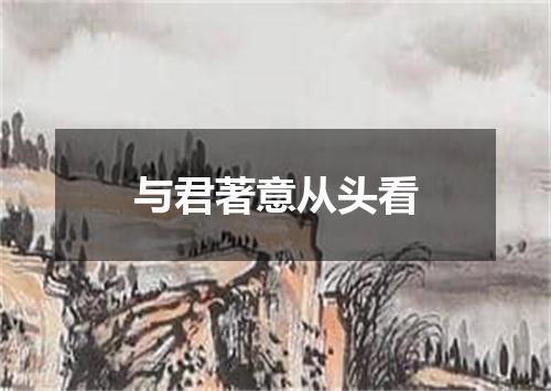 与君著意从头看