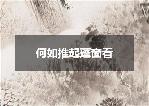 何如推起蓬窗看
