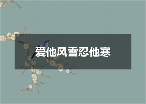 爱他风雪忍他寒