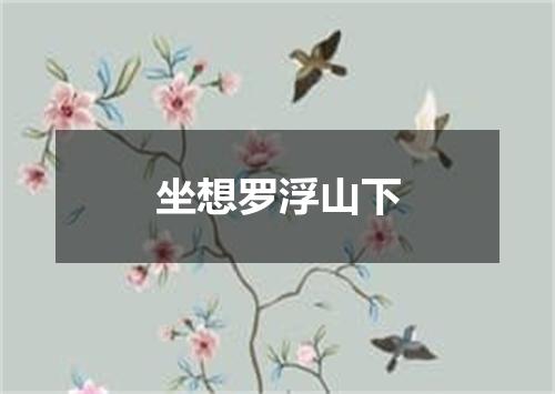 坐想罗浮山下