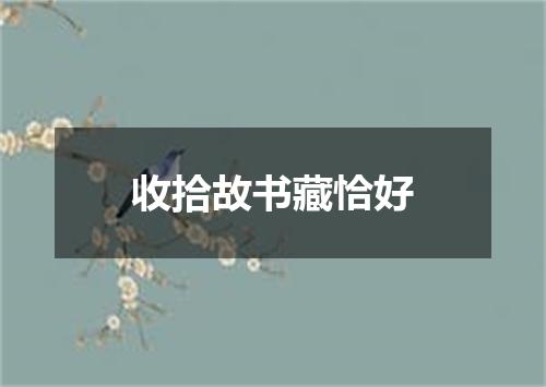 收拾故书藏恰好