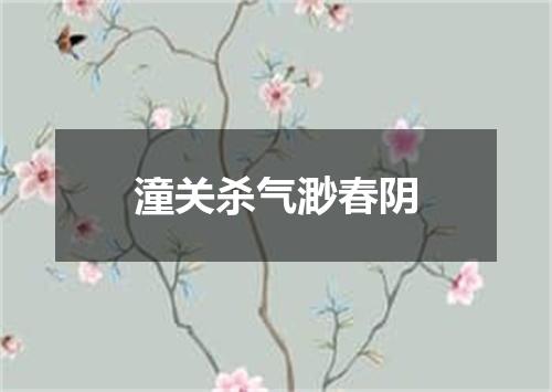 潼关杀气渺春阴