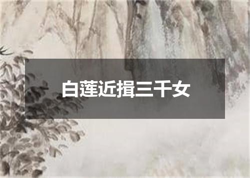白莲近揖三千女