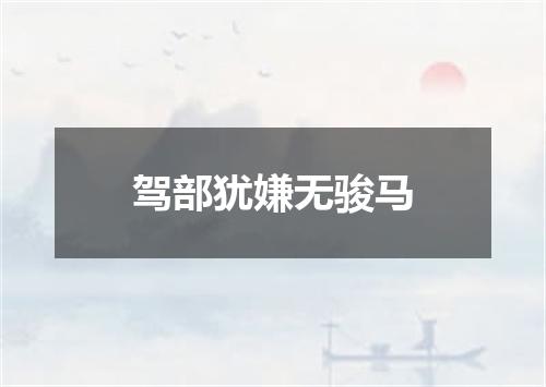 驾部犹嫌无骏马