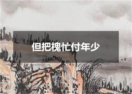 但把槐忙付年少