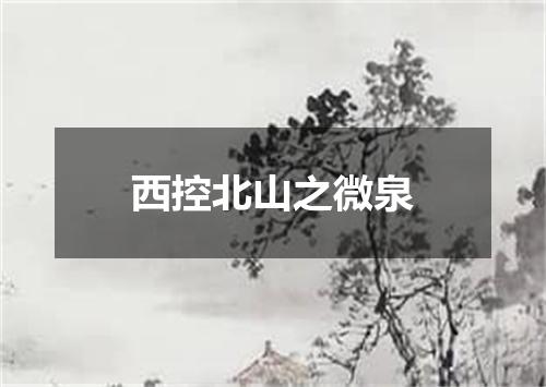 西控北山之微泉