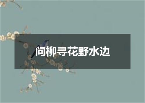 问柳寻花野水边