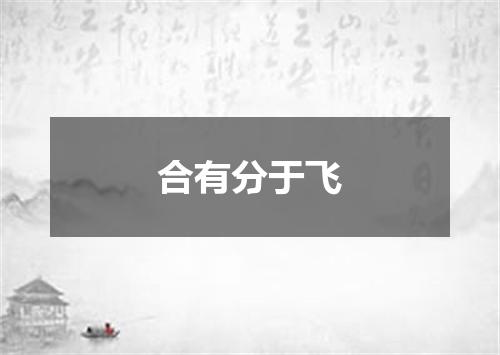 合有分于飞