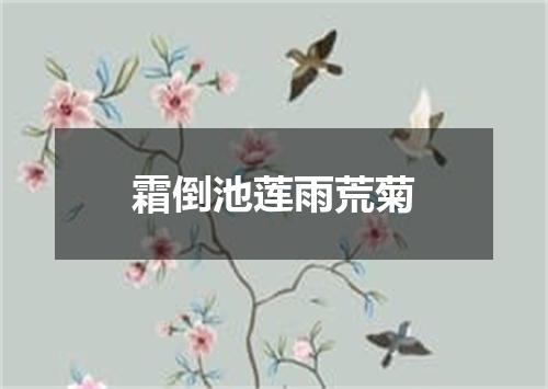 霜倒池莲雨荒菊