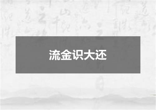 流金识大还