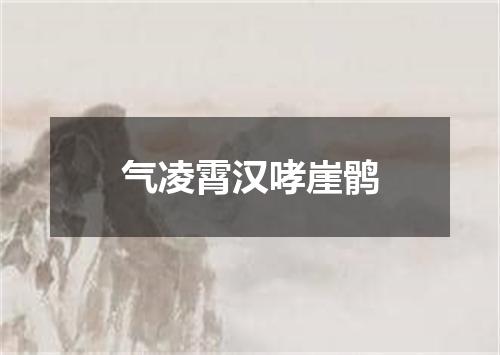 气凌霄汉哮崖鹘
