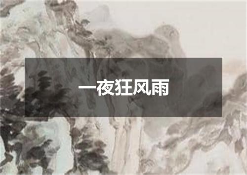 一夜狂风雨