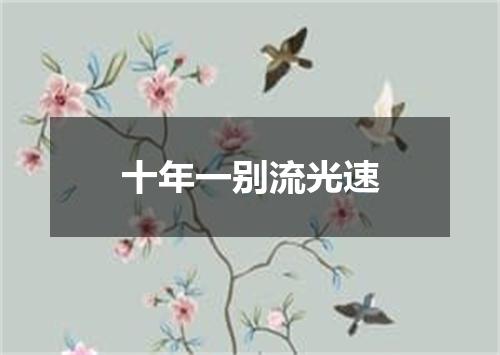 十年一别流光速