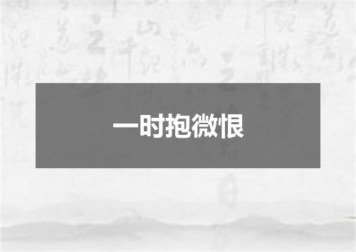 一时抱微恨