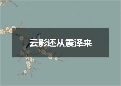 云影还从震泽来