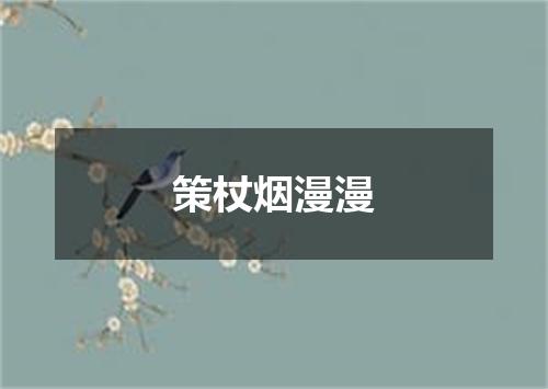 策杖烟漫漫