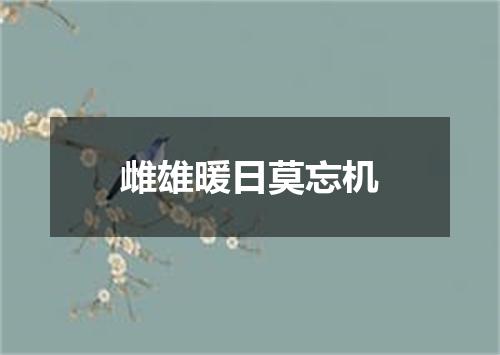 雌雄暖日莫忘机