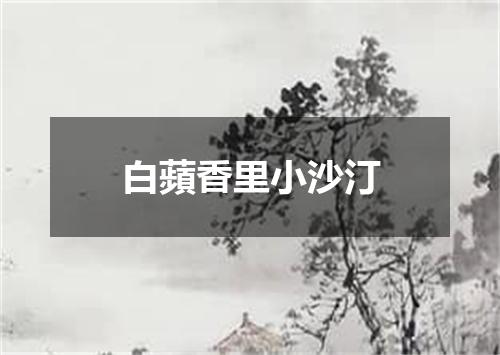 白蘋香里小沙汀
