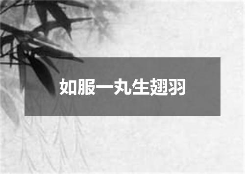 如服一丸生翅羽