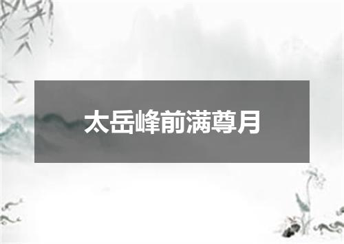 太岳峰前满尊月