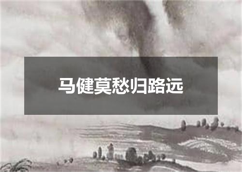 马健莫愁归路远