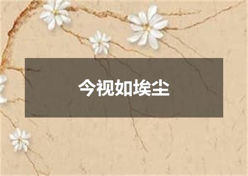 今视如埃尘