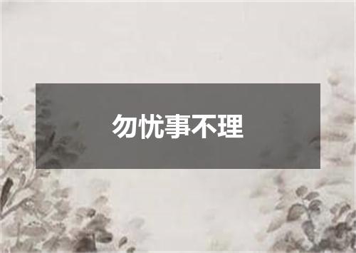 勿忧事不理