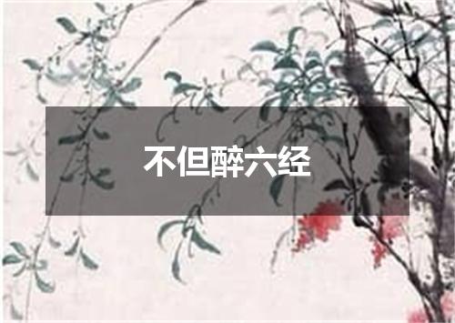 不但醉六经