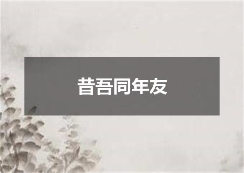 昔吾同年友