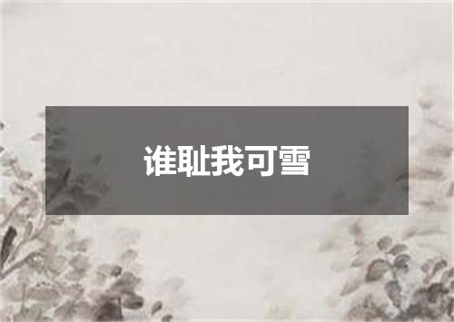 谁耻我可雪