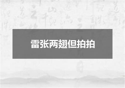 雷张两翅但拍拍