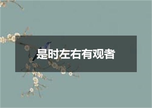 是时左右有观者