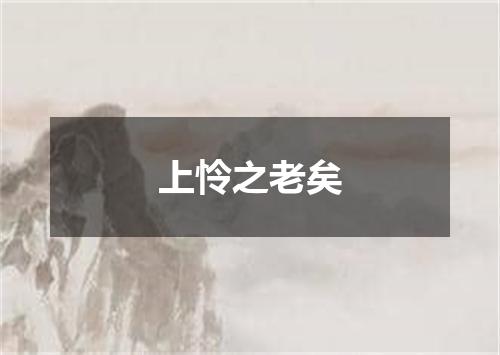 上怜之老矣