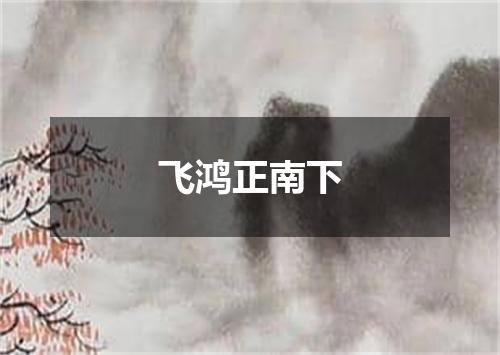 飞鸿正南下